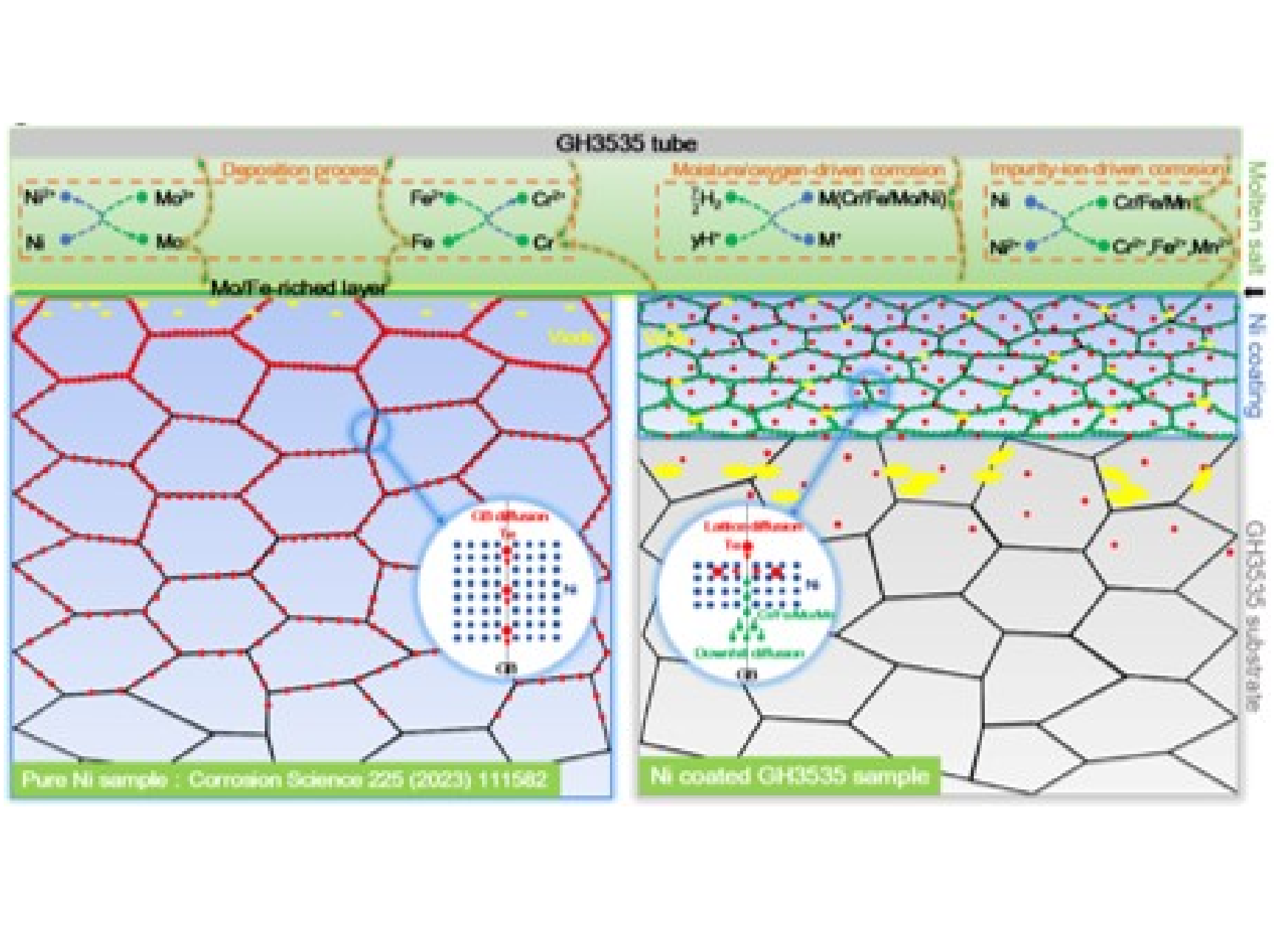 Important Progress in Fundamental Research on Tellurium Embrittlement